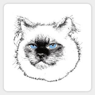 Ragdoll Design - Floppy Cat Christmas Gift Sticker